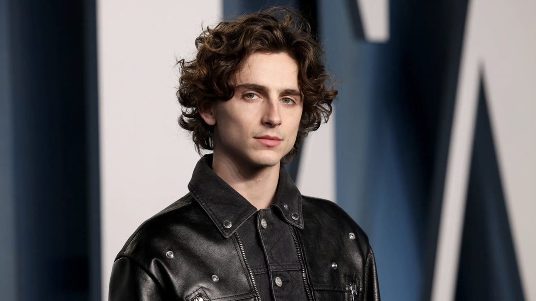 Timothée Chalamet's Tousled Curly Hair
